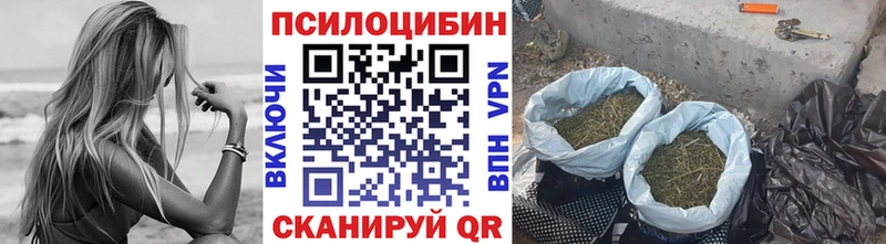 Галлюциногенные грибы MAGIC MUSHROOMS  Купить где  Приморско-Ахтарск 
